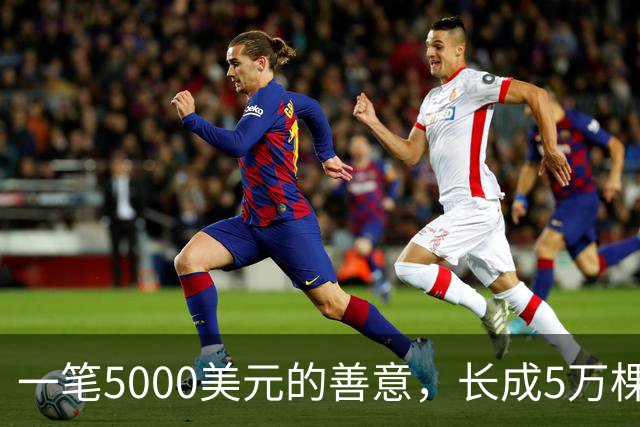 一笔5000美元的善意，长成5万棵大树！失联26年后，美国教师重返中国，一见面就哭了