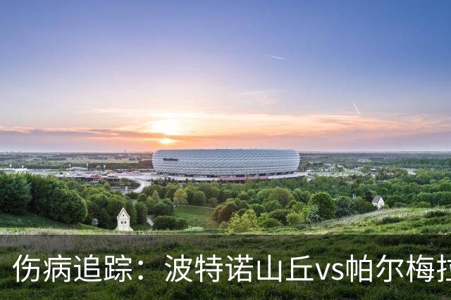 伤病追踪：波特诺山丘vs帕尔梅拉斯，客队多点减员