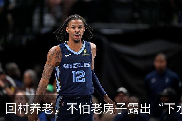 回村养老，不怕老房子露出“下水道”！